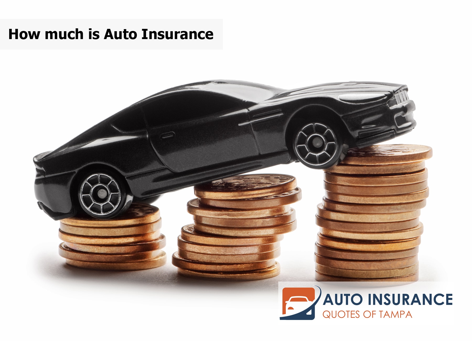 How much is Auto Insurance